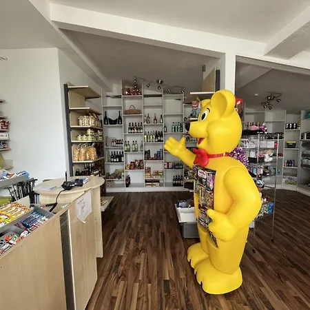 Am Sternberg 97 By Interhome Frankenau