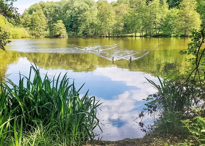 Am Sternberg 97 By Interhome Dom wakacyjny *